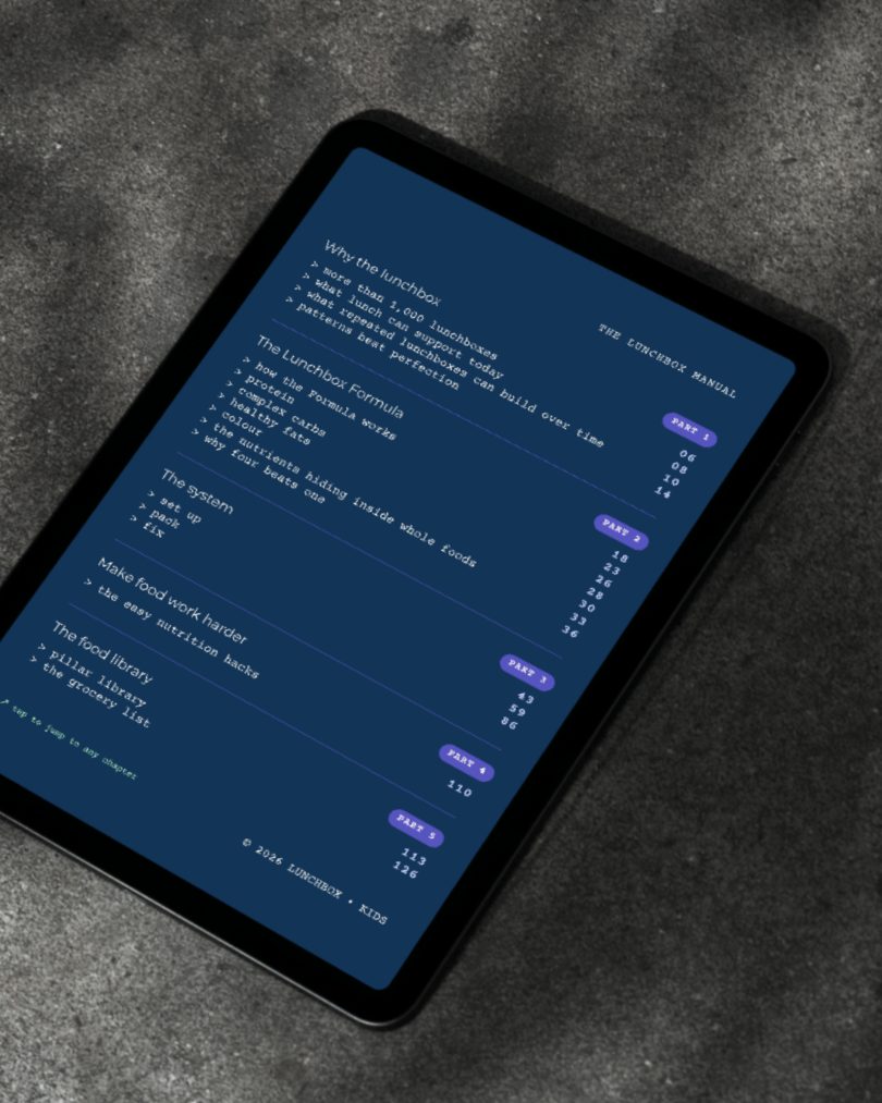 The Lunchbox Manual contents page on a tablet, on a concrete surface